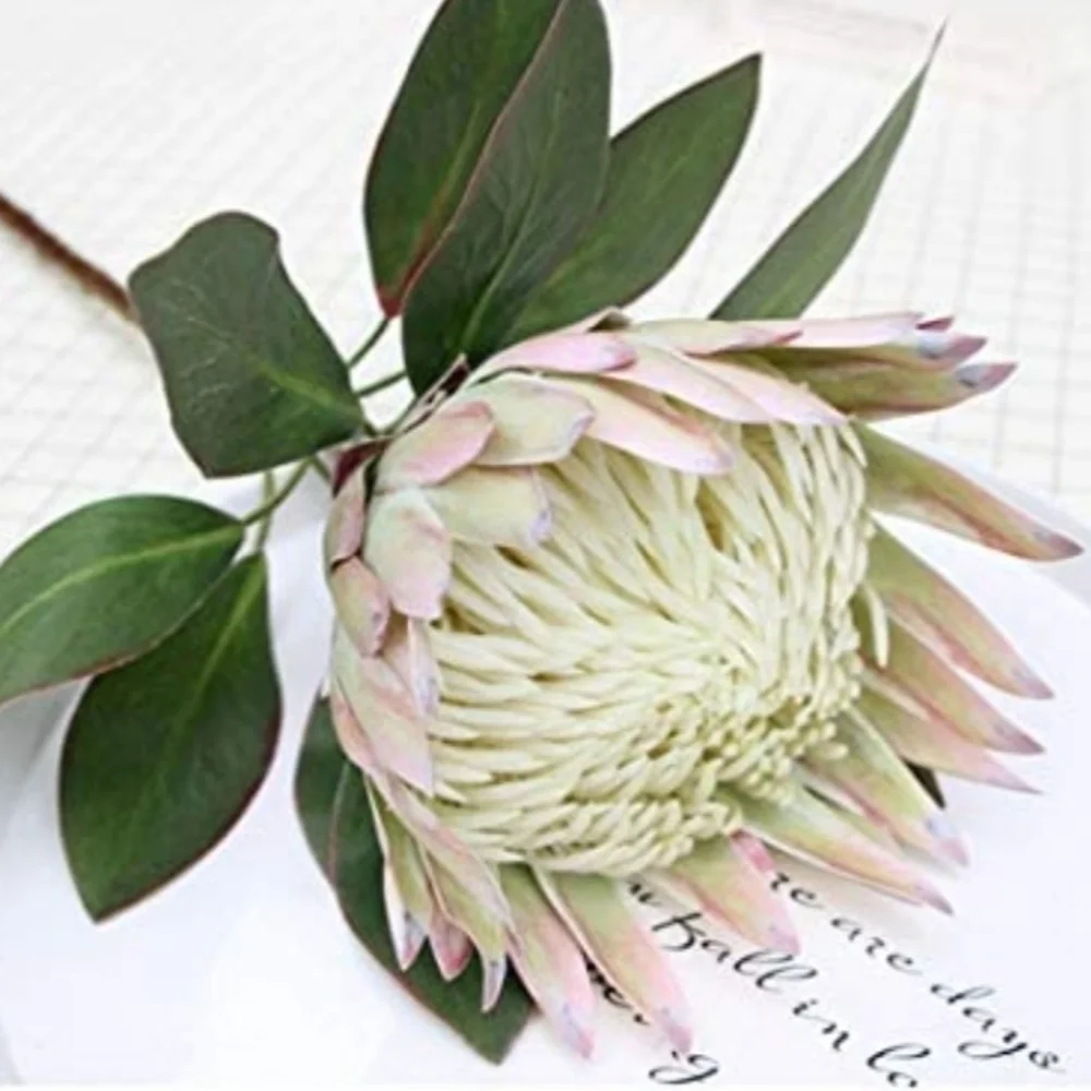 Calcifer The King Protea Cynaroides Artificial Flower Plant Garden Party Wedding